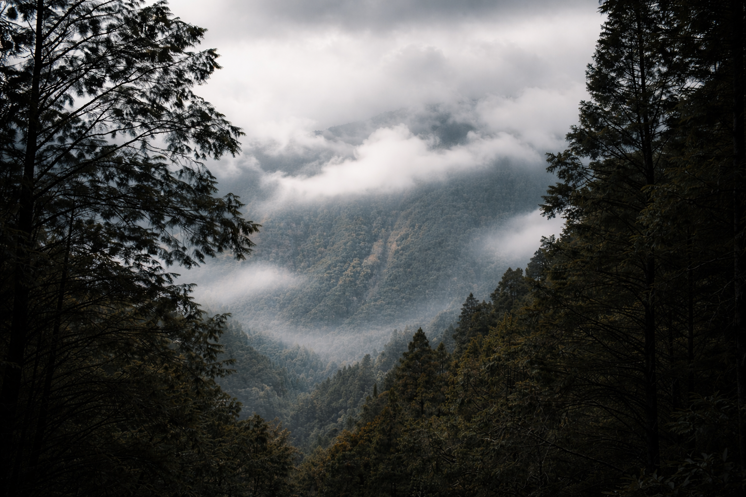 Alishan